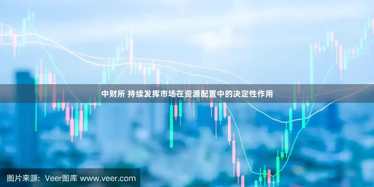 中财所 持续发挥市场在资源配置中的决定性作用