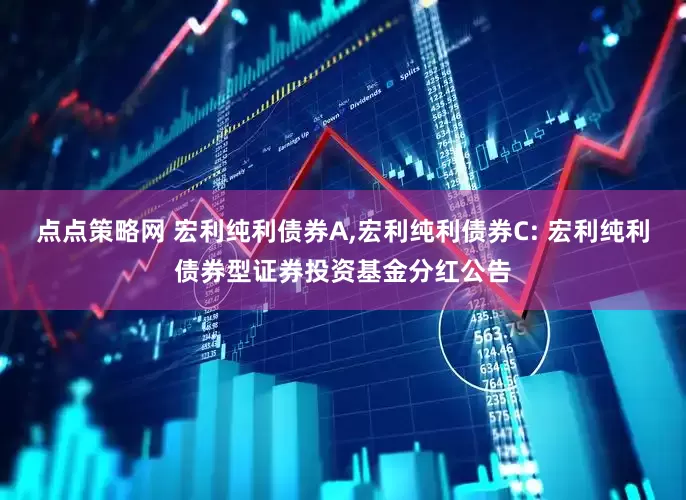 点点策略网 宏利纯利债券A,宏利纯利债券C: 宏利纯利债券型证券投资基金分红公告